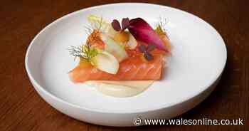 Why the Harden’s guide is unfair to dismiss the food scene in Cardiff - Wales Online