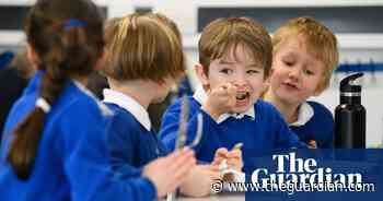 Food agency to check school lunches in England meet standards - The Guardian