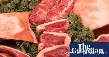 UK food and drink firms warn of shortages as ‘bailout’ of CO2 industry ends - The Guardian