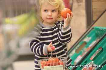 Parents can get up to £442 worth of free food per child but you must apply TODAY... - The Sun
