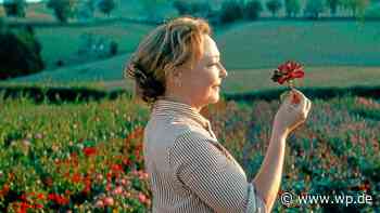 Französische Filmtage ab Sonntag im Kino Onikon in Herdecke - Westfalenpost