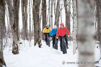 Which came first: Action or intention? - Leduc Representative