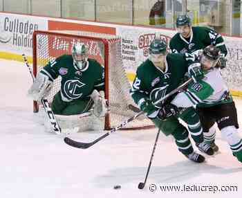 Crusaders bounce back to put a dampener on Thunder - Leduc Representative