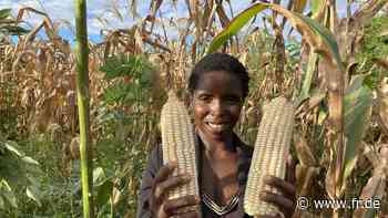 Die Frauen regeln das - Frankfurter Rundschau