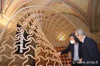 Pisa, la ricerca del Cnr diventa un'opera d'arte - Ansa