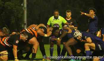 Rugby that rocks is back - Rosebank Killarney Gazette