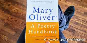 Review: 'A Poetry Handbook' by Mary Oliver helps me write daily poems - Business Insider