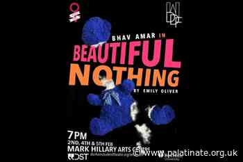 Review: DDF – Beautiful Nothing by Em Oliver - Palatinate