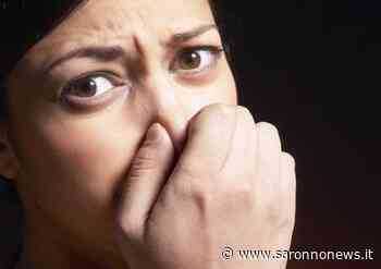 Puzze a Villaggio Brollo, Arpa invia i risultati del monitoraggio a Solaro e Ceriano Laghetto - SaronnoNews.it