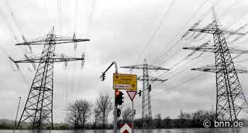 Eggenstein-Leopoldshafen sträubt sich gegen die Stromtrasse - BNN - Badische Neueste Nachrichten