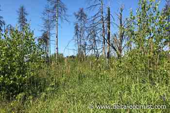 Gaming grants help groups in Delta BC - Delta-Optimist