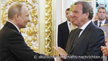 Wegen Nähe zu Russland: Gerhard Schröder soll den Dienstwagen abgeben