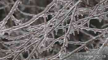 Icy storm knocks out power for more than 53,000 in Nova Scotia