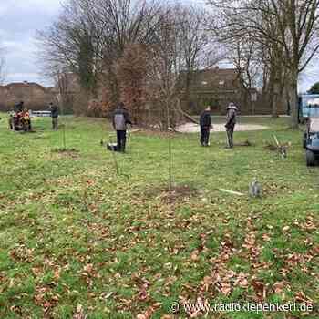 SENDEN: Erste Bäume auf Jubelwiese - Radio Kiepenkerl