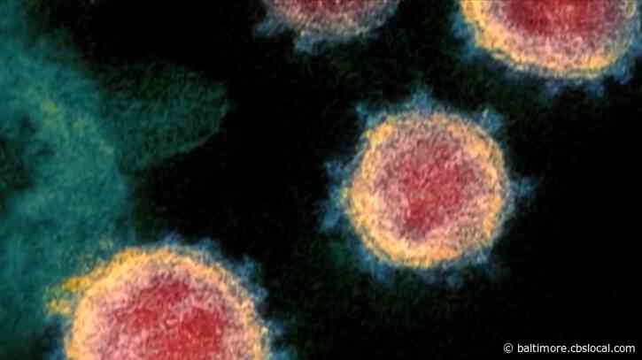 COVID-19 In Maryland: More Than1.6K New Cases & 35 Deaths Reported Saturday