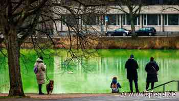 Fernwärmeausfall: Rohrbruch färbt »Kleinen Kiel« knallgrün - DER SPIEGEL