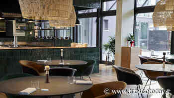 Feria, a Treviso il nuovo ristorante bistrot dello chef Marco Feltrin - TrevisoToday