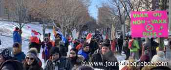 [EN IMAGES] «Convoi de la liberté» à Québec: une foule extatique devant le parlement