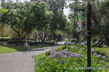 New Graduate Track to Combine Study of Medical and Electrical Engineering - Caltech