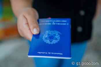 Itanhaém, Bertioga, São Vicente, Guarujá e Praia Grande oferecem 161 vagas de emprego - G1