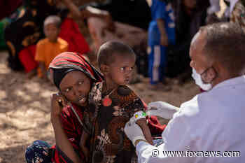 Ethiopia drought impacts millions, UNICEF appeals for additional aid to minimize child deaths