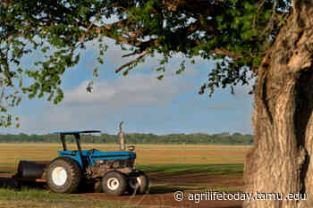 New landowner program starts Feb. 18 in Austin County - AgriLife Today