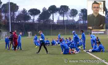 Ciurlanti ala FIGC: "Impossibile ignorare cosa accade nelle giovanili" - marcheingol.it
