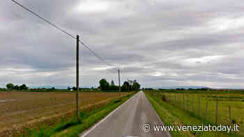 Anziana ferita in un'azienda agricola a Caorle - VeneziaToday