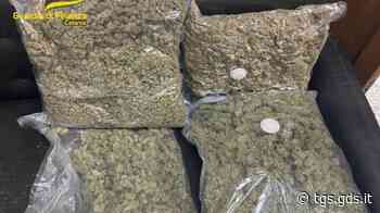 Sequestri di droga a Catania - TGS