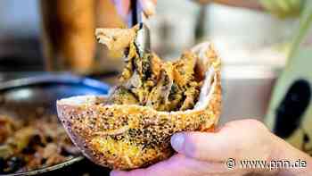 Essen & Trinken: Kulinarische Verbrüderung: Grünkohldöner in Oldenburg - Startseite - Potsdamer Neueste Nachrichten