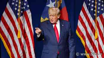 Irrer Wahlkampf: 125 000 Dollar für ein Essen mit Donald Trump - BILD