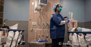 How New York City’s Hospitals Withstood the Omicron Surge - The New York Times