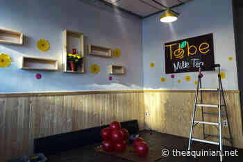 'Like heaven on earth': Bubble tea comes to Fredericton - The Aquinian