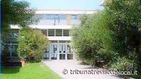 Scuola Amalteo di Oderzo, stop ai lavori: la ditta si ritira prima di firmare - La Tribuna di Treviso
