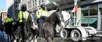 Manifestation à Ottawa: l’attitude de policiers dénoncée par un compte Instagram