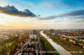 Diese Jury wählt die fünf besten Ideen für Mannheim - Mannheimer Morgen