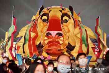 Astrology and me: What's really written in the stars - The Straits Times