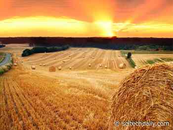 Efficient New Catalytic Approach Directly Converts Raw Biomass Into Natural Gas With Low Carbon Footprint