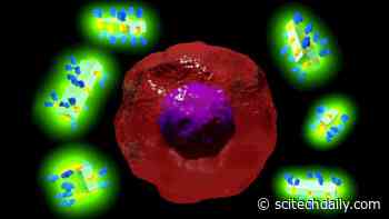 World-First Antibody-Drug Delivery System Developed Using Supercharged Man-Made Crystals