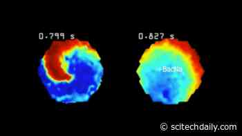 Tweaked Genes Borrowed From Bacteria Electrically Excite Heart Cells in Live Mice