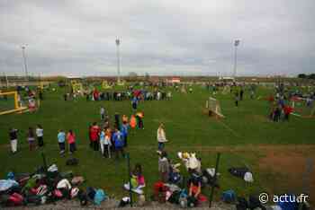 Sport : la Fédération nationale attribue le Label argent au Frontignan Thau Handball - actu.fr