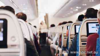 Return of international tourists 'very close', says Home Affairs Minister