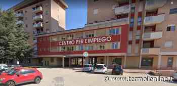 Potenziamenti dei centri per l'Impiego: i posti a bando salgono a 75 - Termoli Online