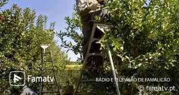 Famalicão: Homem com cerca de 70 anos morre após queda de escada na freguesia de Novais » Famatv - FamaTv