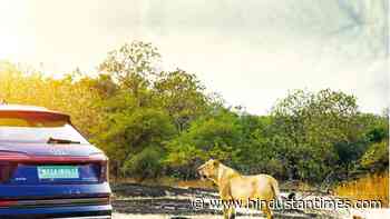 Sunday Drive by Hormazd Sorabjee: Driving through the Gir Forest National Park - Hindustan Times