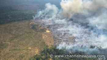 Record heat, forest fires in Colombia's Amazon in January - CNA