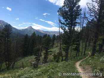 Custer Gallatin National Forest gets a new guide to the future - Montana Free Press