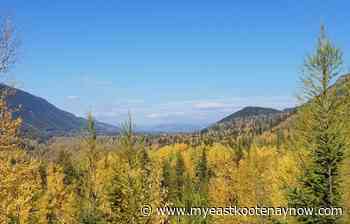 Fernie Nordic Society included in BC Tourism grants - My East Kootenay Now