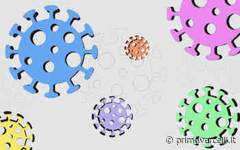 Covid Vercelli: 219 nuovi casi e 496 guariti - Prima Vercelli