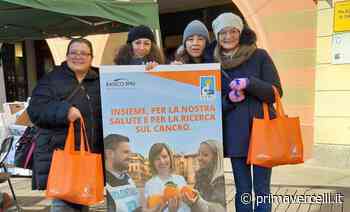 Successo per le Arance della Salute Airc nel Vercellese - Prima Vercelli